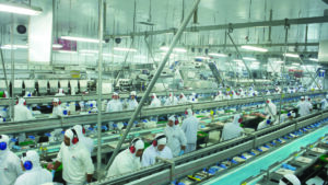 Unidade de processamento de frango da BRF em Goiás.