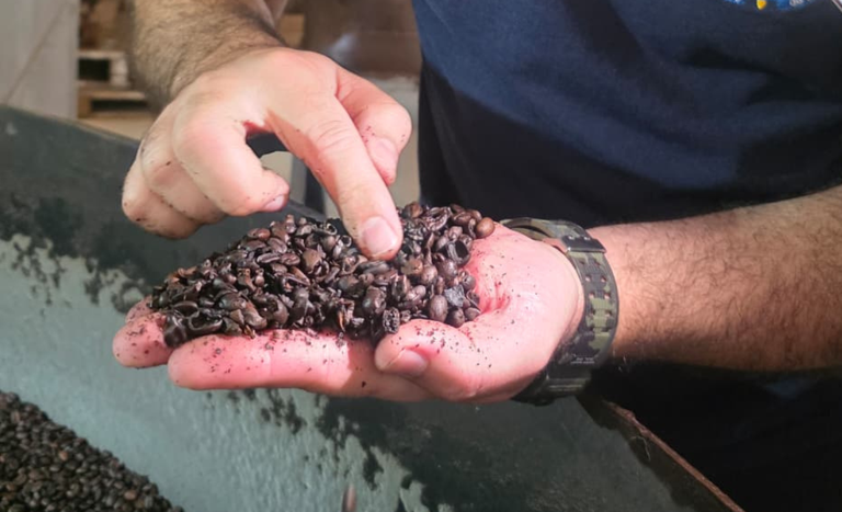 Operação apreende 2,4 toneladas de café irregular no RJ. O objetivo foi combater fraudes e proteger consumidores.