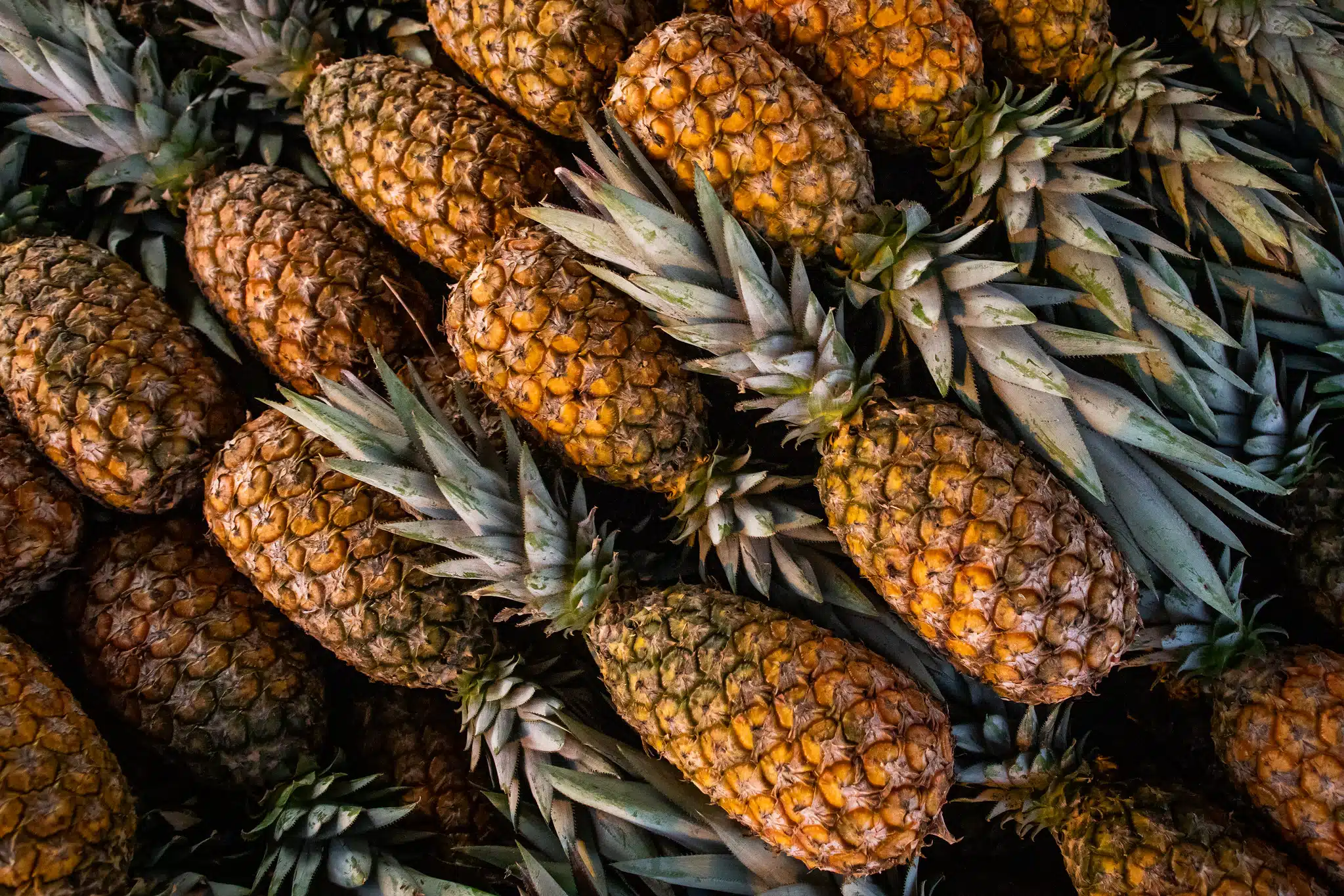 abacaxi