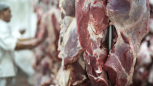 Figorífico com Carne Bovina
