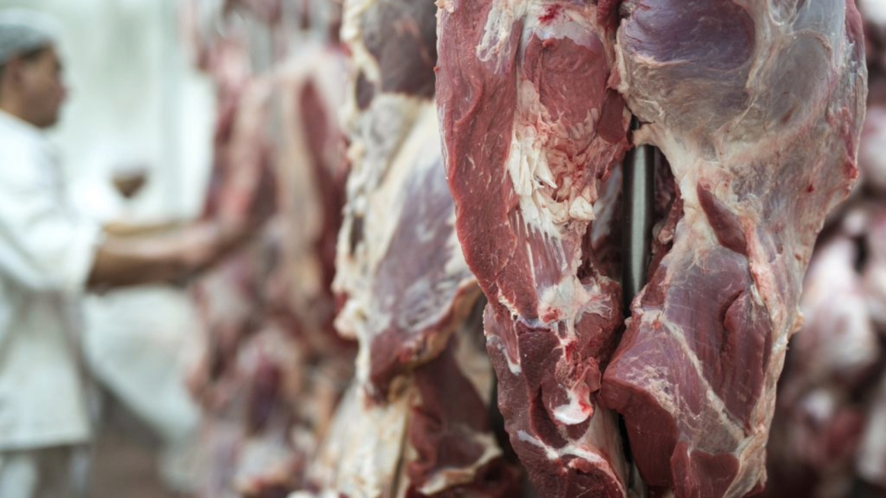Figorífico com Carne Bovina