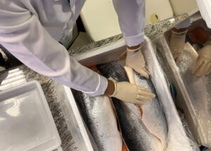 Embrapa cria banco de dados para impulsionar mercado de pescado plant-based