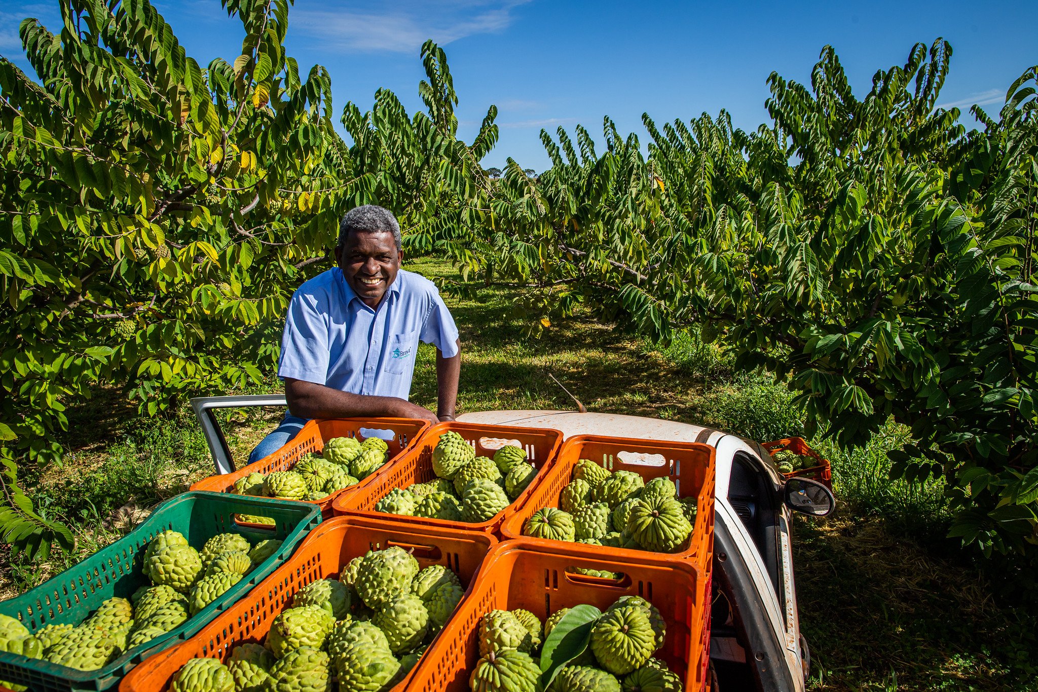 Veja as facilidades para obter crédito rural