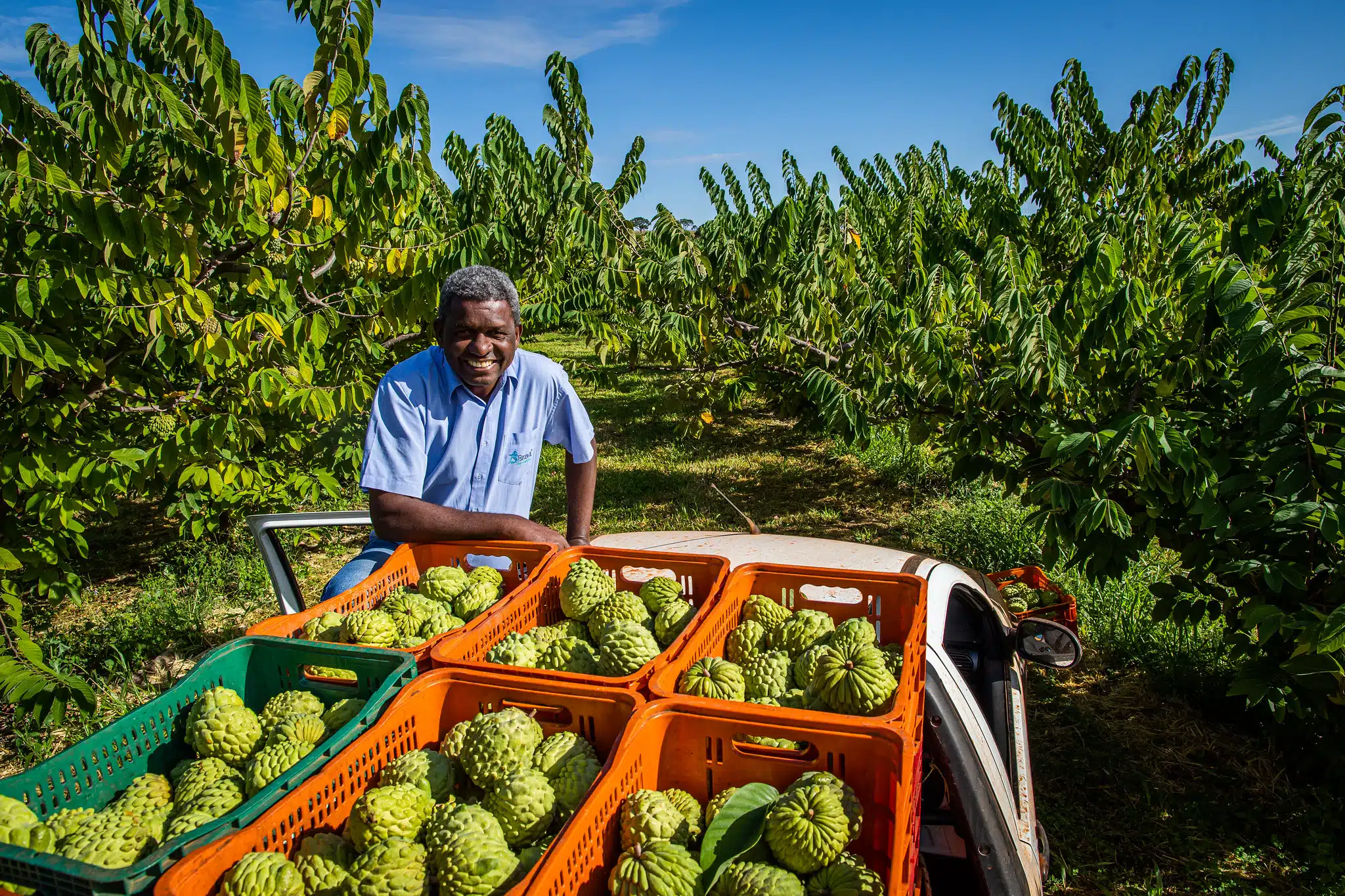 Produtor rural deve se atentar ao prazo do ITR 2026