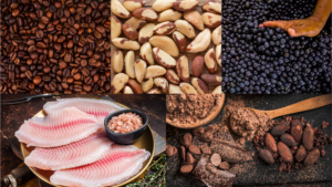 Brasil explora apenas 1% do mercado global de produtos florestais sustentáveis
