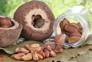 Farinha de castanha supera proteína do trigo em 60%