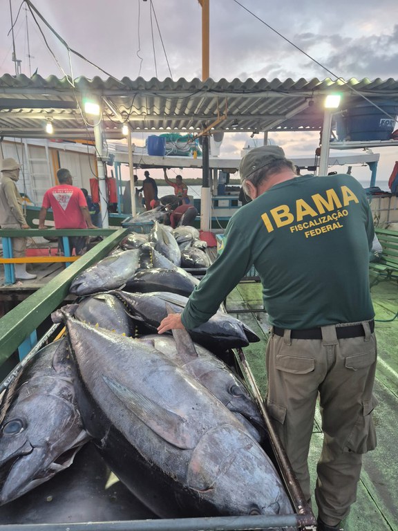 pescado ilegal