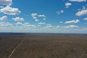Maior reserva ambiental do Piauí protege 560 hectares de Caatinga
