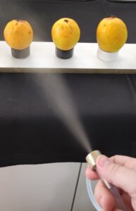 Filmes biodegradáveis crescem no mundo, mas Brasil não protege patentes