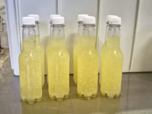 Refrigerante de soro de leite: bebida avança em testes de validação