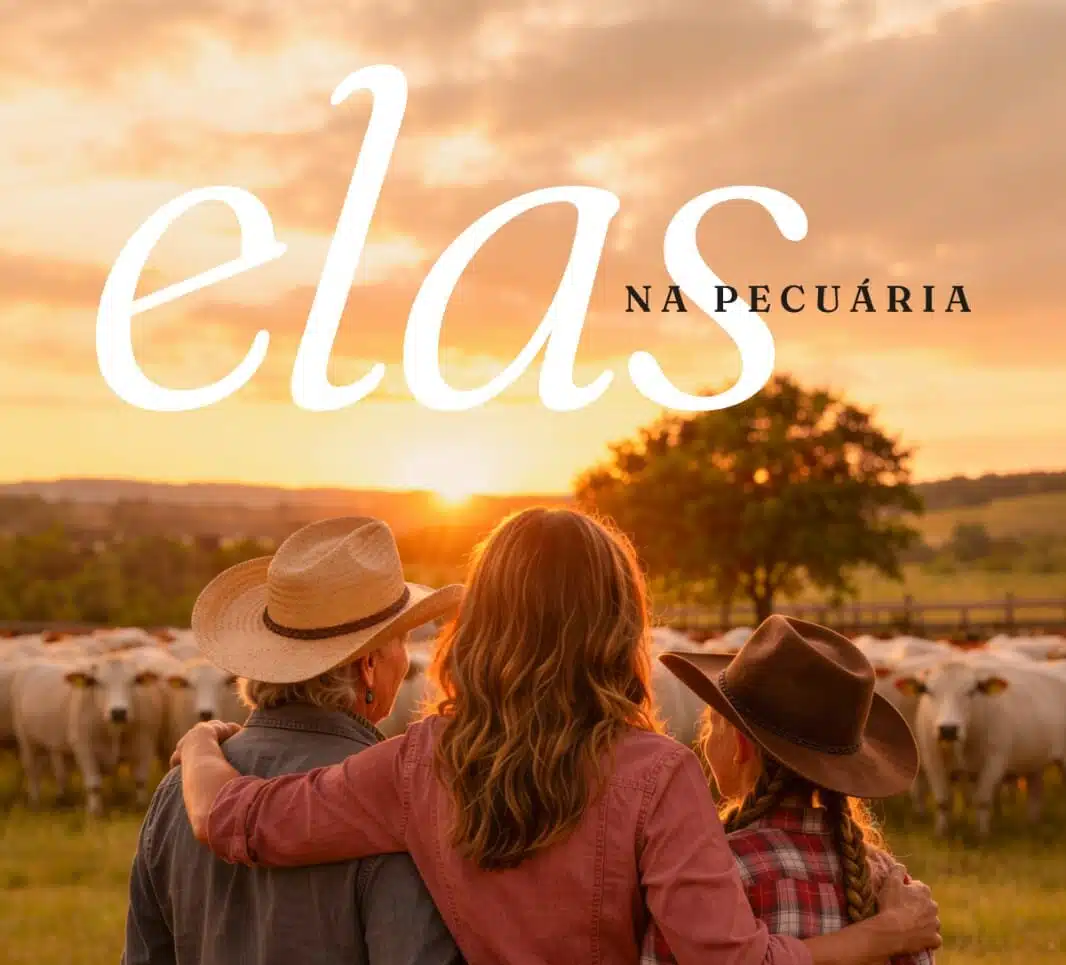 mulheres