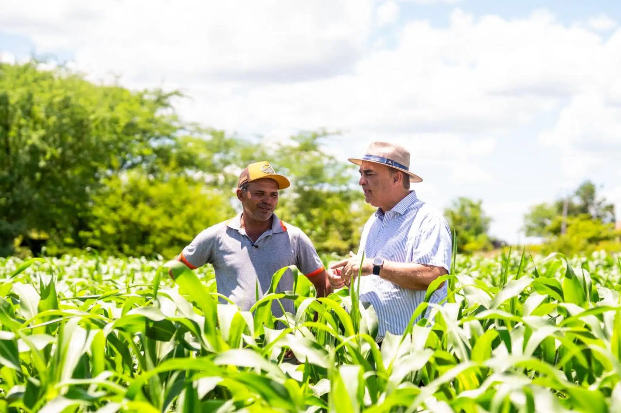 Agricultores na lavoura
