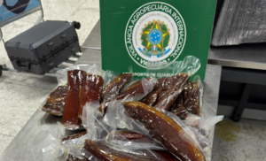 Vigiagro apreende mais de três toneladas em aeroporto de Guarulhos