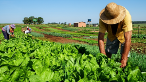 O impasse da reforma agrária que pode afetar a produção de alimentos