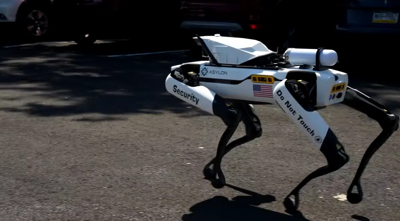 Dronedog