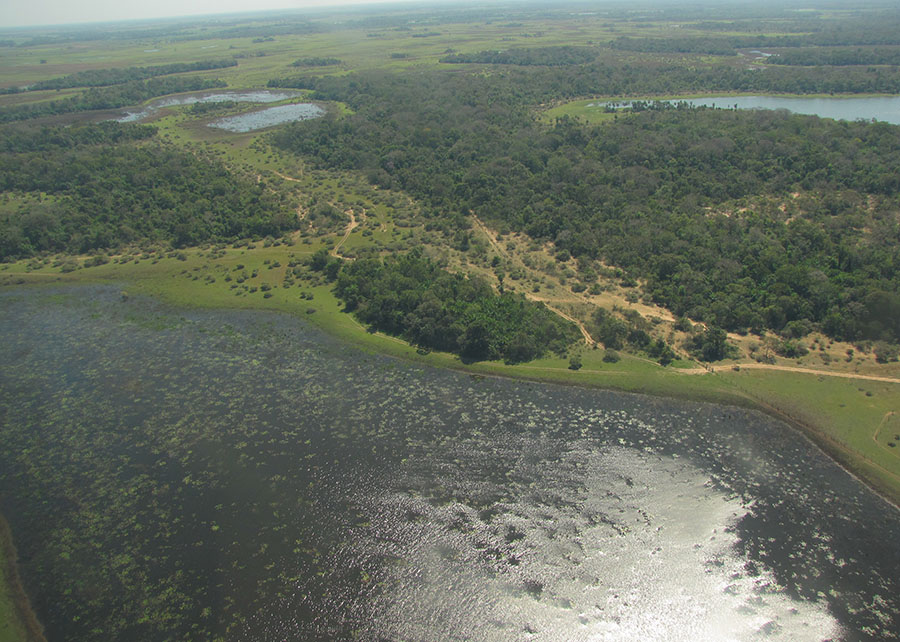 pantanal