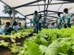 Rondônia amplia investimentos em cursos técnicos voltados ao agronegócio
