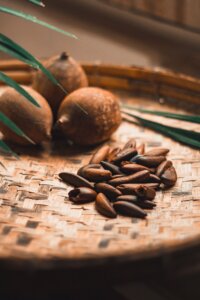 Murici, babaçu e camu-camu: ingredientes amazônicos conquistam a indústria brasileira