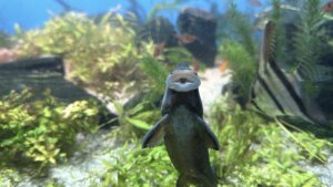 Animais que atuam na limpeza de mares e rios são destaque em aquário de Santa Catarina