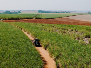 Agronegócio paulista supera US$ 6,45 bilhões de superávit