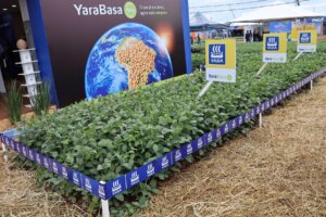 Nutrição vegetal avança com foco em eficiência e produtividade