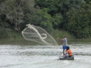 Pesca com rede: homem pescando