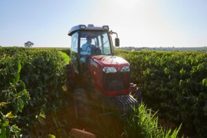 Mecanização impulsiona produtividade cafeeira e fortalece liderança brasileira no setor