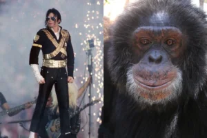 O que aconteceu com Bubbles? Veja a vida atual do chimpanzé de Michael Jackson
