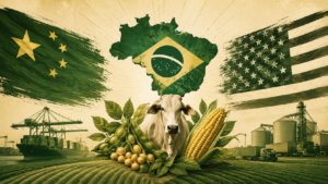 Agro confia mais nos EUA do que na China, aponta FGV