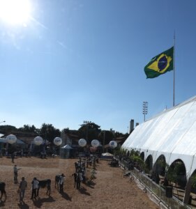 Megaleite 2026 bate recordes de público, negócios e produtividade em Belo Horizonte