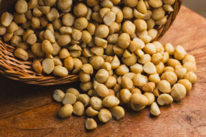 macadamia numa cesta