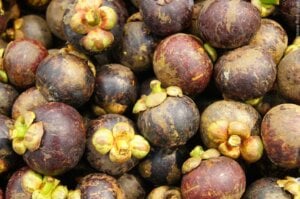 Fruta mais saborosa do mundo ganha espaço no Brasil