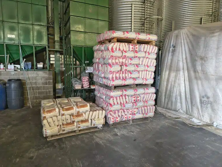 arroz irregular em um galpão