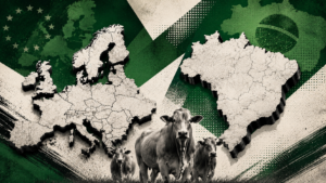 Ilustração editorial mostra os mapas da União Europeia e do Brasil em destaque, posicionados frente a frente sobre um fundo com formas geométricas e texturas em verde, off-white e preto. Em primeiro plano, três bois representam a pecuária brasileira, reforçando o contexto de tensão comercial envolvendo as exportações de carne.