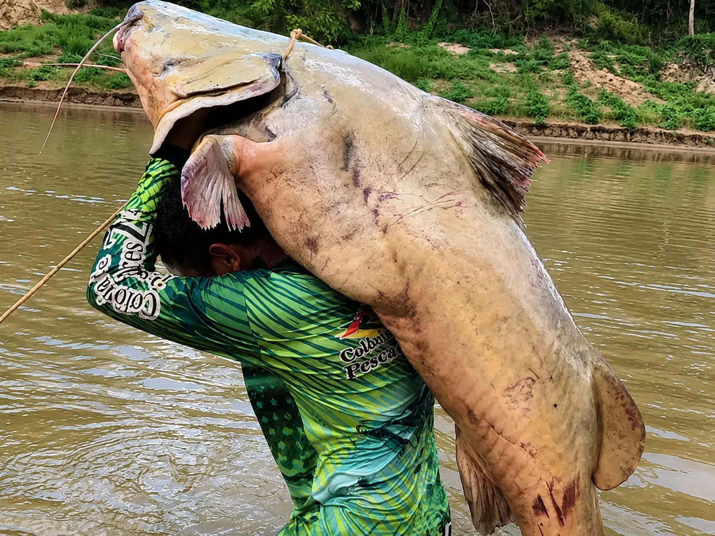 Pescador segura nos ombros um jaú de 68 quilos capturado durante pescaria esportiva no Rio Acre.