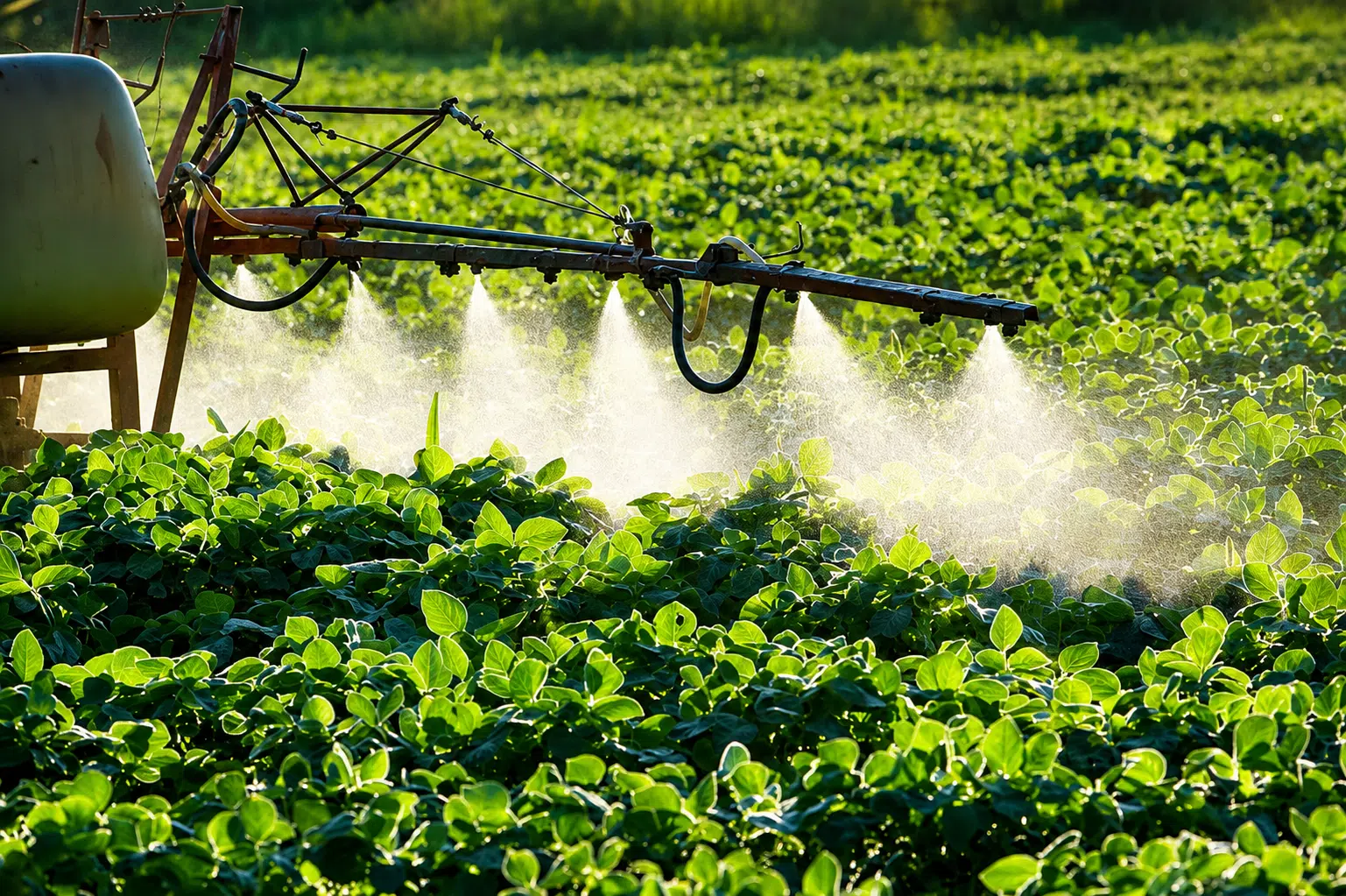 Pulverizador agrícola aplica insumos sobre lavoura de soja em área de cultivo, com névoa de pulverização visível entre as plantas.