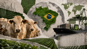 Montagem editorial mostra rebanho de gado brasileiro, mapa do Brasil em destaque e estruturas portuárias com navio de contêineres, simbolizando a força das exportações do agronegócio no mercado internacional.