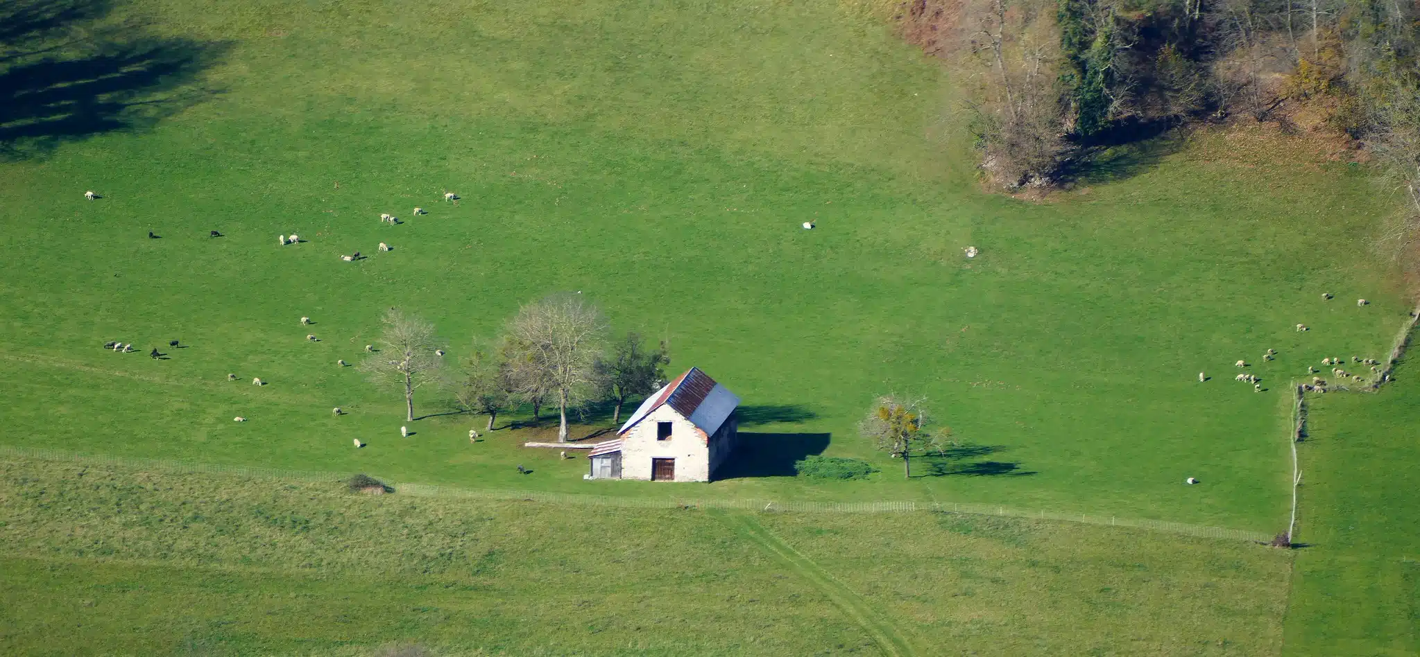 Fazenda na França