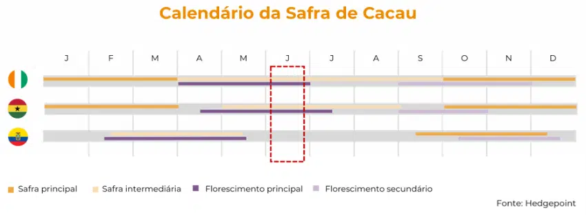 Infografico sobre produção de cacau