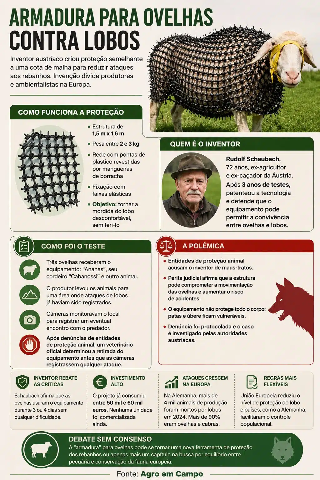 Infográfico sobre o projeto