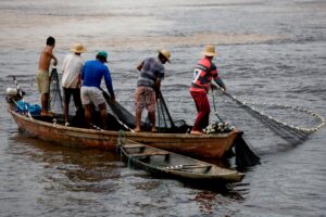 pescadores com rede
