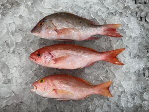 Pescado brasileiro conquista mercado árabe