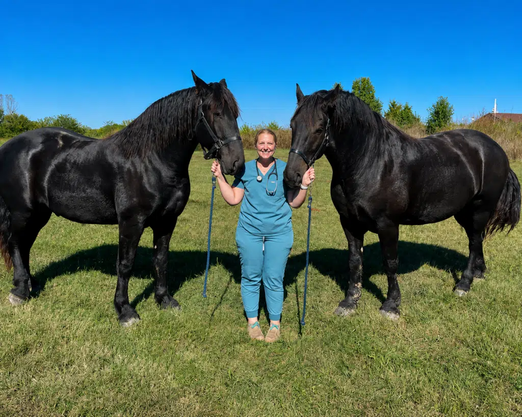 Médica veterinária com cavalos