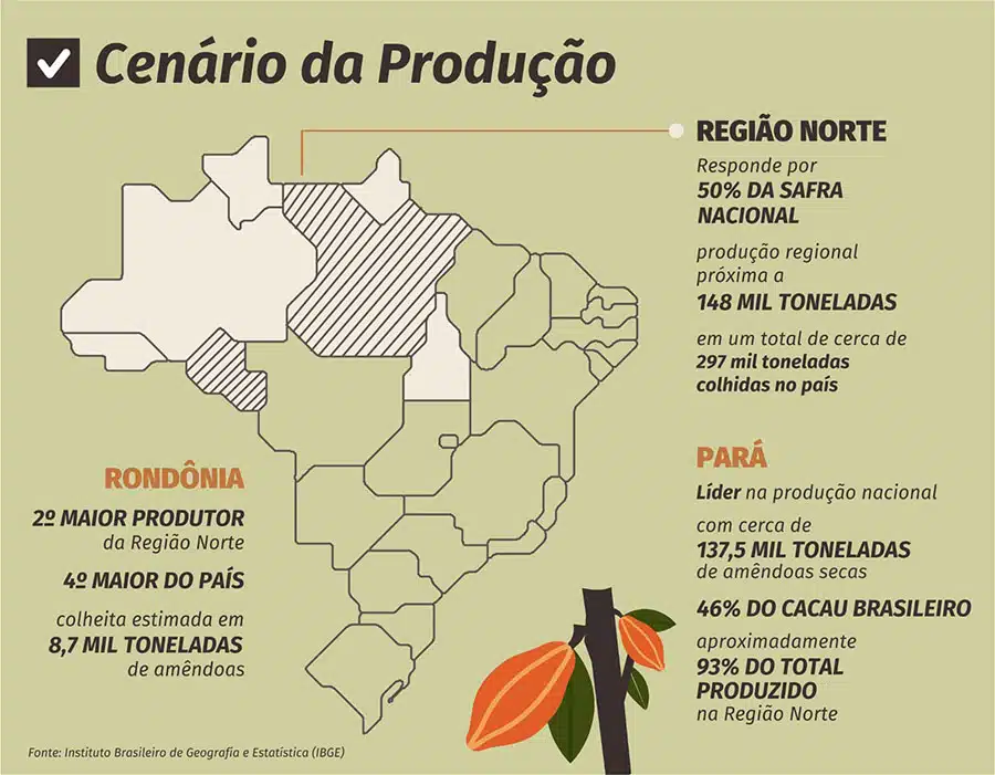 infográfico