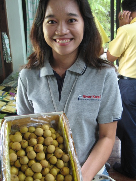 Longan