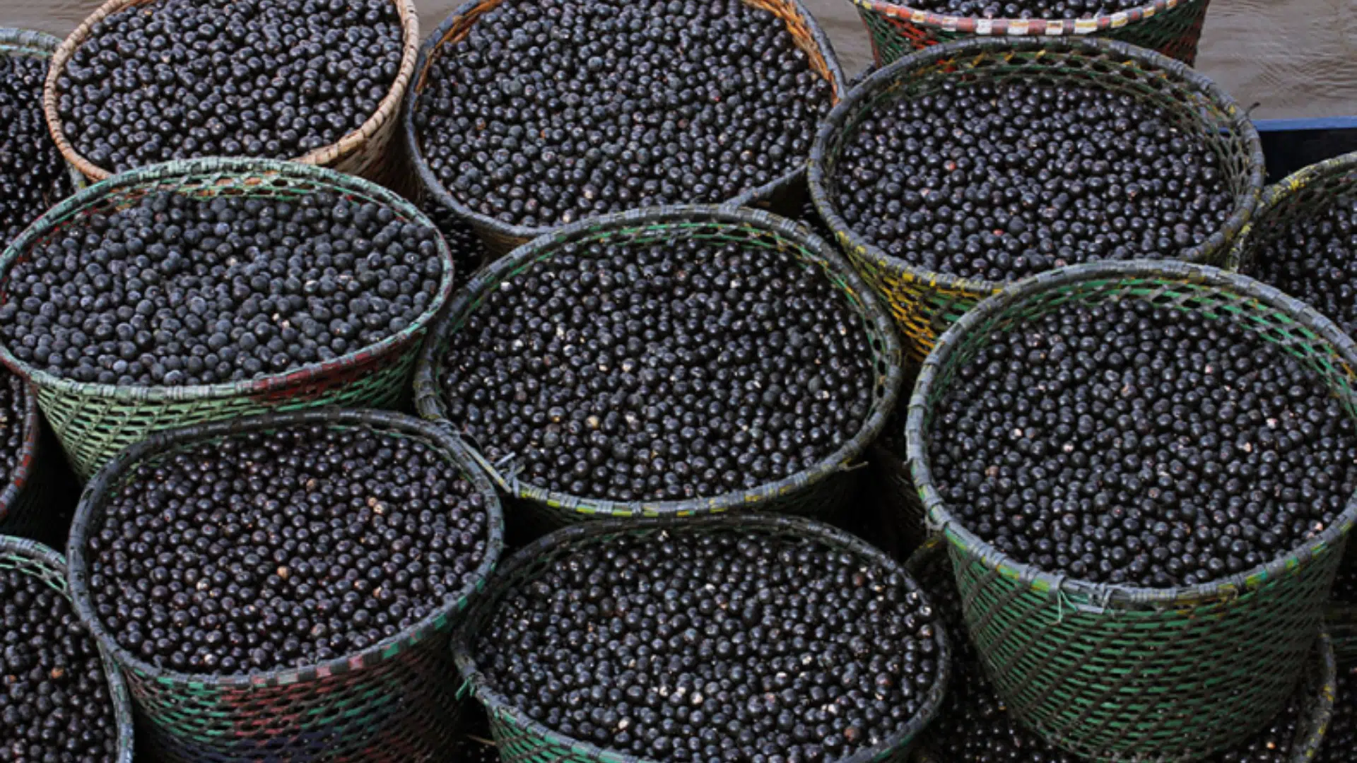 açaí
