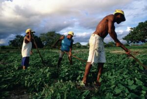 agricultura familiar