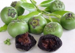 sapota preta