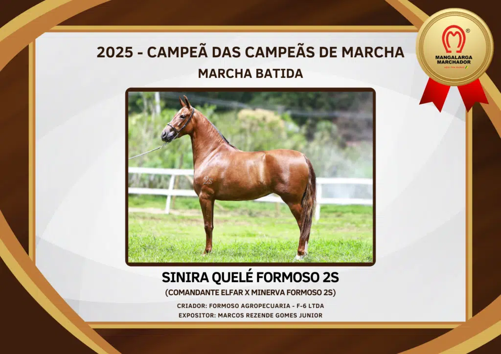 Sinira Quelé Formoso 2S, campeã das campeãs de marcha batida do Mangalarga Marchador em 2025
