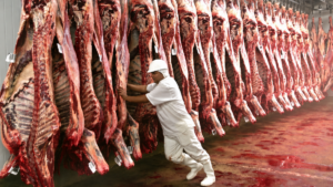 Indonésia habilita 21 frigoríficos brasileiros para exportar carne bovina